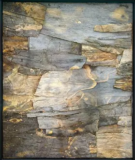 "La Mer de peau", 1959, Jean Dubuffet, Centre Pompidou, Paris, France, Europe