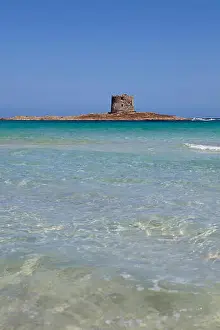 Province Of Sassari Prints: La Pelosa beach and the tower in Stintino, Sardinia, Italy