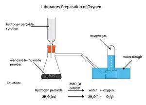 Full labelled diagram of the laboratory preparation of oxygen from hydrogen peroxide and manganese (IV) oxide