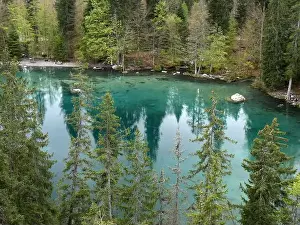 Haute Savoie Prints: Above the lac Vert in Passy, haute Savoie