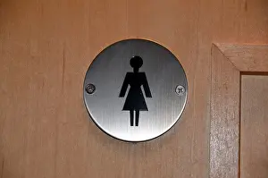 Oblong Prints: Ladies WC symbol number 3293