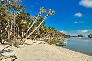 South Carolina Prints: The lagoon area at Hunting Island State Park, SC