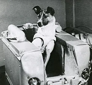Space Exploration Prints: Laika, the first canine in space