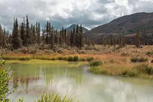 Natural Background Prints: Lake on Alaska