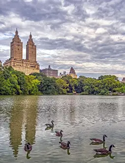 Central Park Prints: At he lake in Central Park, New York City, Manhattan