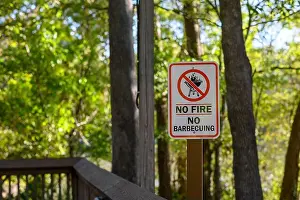 Flammable Prints: LAKE FAUSSE POINTE STATE PARK, LA