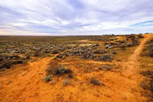 Bushland Prints: Lake Mungo west end flat plains around Mungo lookout - Australian outback red soil