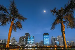 Sukhumvit Prints: Lake with Palm Trees in City Park under Skyscrapers at Night