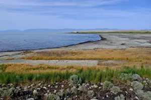 Salt Lake Prints: lake shore landscape of Great Salt Lake in Utah, USA