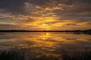 Lakeshore Prints: Lake sunset in Wellen park in North Port, Florida