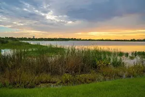 Ambience Prints: Lake sunset in Wellen park in North Port, Florida