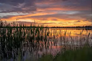 Fresh Water Prints: Lake sunset in Wellen park in North Port, Florida