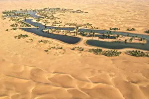 United Arab Emirates Prints: Lakes and trees in a beautiful oasis in the desert. Dubai, UAE