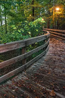 Lamps Prints: Lamps in the woods light the boardwalk path to the lake at Stone Mountain Park's Atlanta Evergreen Lakeside Resort