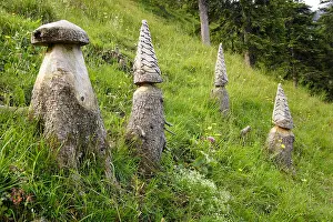 Meadows Prints: land art, carved tree trunks, Germany, Bavaria, Farrnpoint, Bad Feilnbach