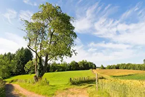 Hilly Prints: Landscape green hills in French Nouvelle aquitaine