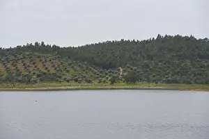 Hydro Prints: Landscape in lake reservoir dam of Alqueva with trees in Alentejo, Portugal