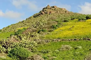 Landscape near Haria at Lanzarote on Canary island in Spain