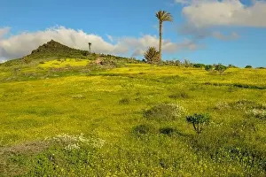 Landscape near Haria at Lanzarote on Canary island in Spain