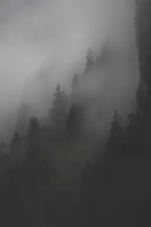 Grayscale Prints: Landscape photography of the French Alps on a foggy morning