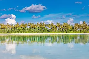 Island Beach Prints: Landscape reflections of coconut trees in perfect symmetry