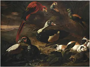 Crab Prints: A landscape with a scarlet macaw