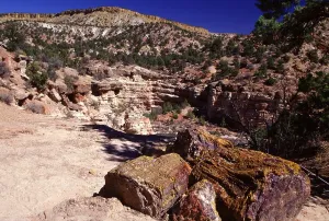 Petrified Prints: US landscape in south west America cerulian sky