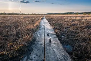 Landscape with sunset at evening in swamp Finland