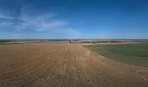Yellow Fields Prints: Landscape view from drone, yellow and green fields and haystacks