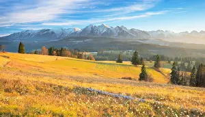 Tatra Prints: Landscape view of High Tatras, near Zakopane, Poland