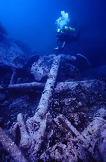 Examine Prints: Large anchor of 1905 shipwreck of French barque Anjou discovered 1975 once thought to be the General Grant Auckland