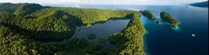 A large marine lake is found within beautiful limestone islands that rise from West Papua's seascape. Marine lakes are enclosed saltwater ecosystems