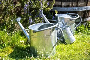 Watering Can Prints: large and small tin water cans in a spring garden