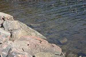 Stone Stream Prints: Large stones, brown and gray granite are located on the shore and bottom of the reservoir