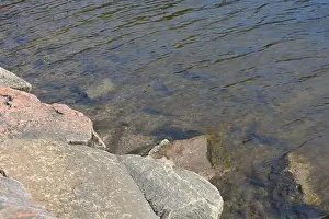 Stone Stream Prints: Large stones, brown and gray granite are located on the shore and bottom of the reservoir