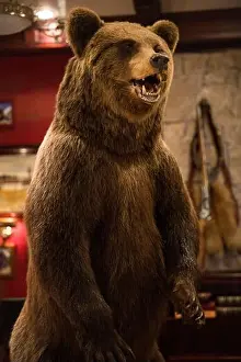 Blurred Background Prints: Large stuffed brown bear with open mouth standing on hind legs placed in rustic restaurant with hunting style interior