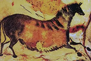 Murals Prints: Lascaux is the setting of a complex of caves in southwestern France famous for its Paleolithic cave paintings