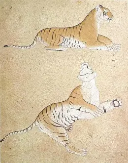 Animal Portrait Prints: This late 18th-century painting from the Punjab Hills