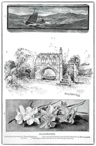 Wood Engraving Prints: A late 19th Century chart illustrating the various types of illustration