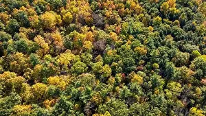 Tree Leaf Prints: Late afternoon aerial autumn image of the area surrounding the City of Ithaca