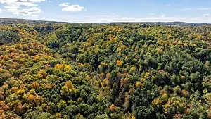 Tree Leaf Prints: Late afternoon aerial autumn image of the area surrounding the City of Ithaca