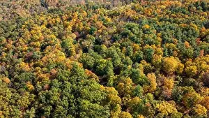Tree Leaf Prints: Late afternoon aerial autumn image of the area surrounding the City of Ithaca