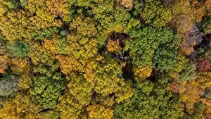 Upstate Prints: Late afternoon aerial autumn image of the area surrounding the Yorktown Heights