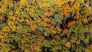 Upstate Prints: Late afternoon aerial autumn image of the area surrounding the Yorktown Heights