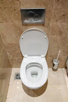 Lavatory Prints: lavatory pan in public toilet restroom