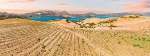 Vinery Prints: Lavender and agricultural shrub plantations with Lake Egirdir in the background