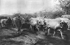 Serbia Prints: Le Calvaire du Vieux Roi; Pierre 1cr Karageorgevitch quitte le territoire Serbesu un caisson d'artillerie traine