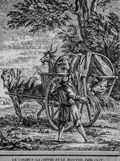 Paysage Prints: le cochon, la chevre et le mouton