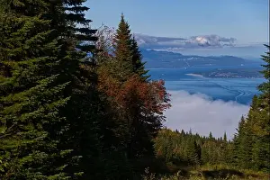 Bucolic Prints: Le Massif Vista