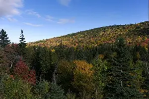 Bucolic Prints: Le Massif Vista